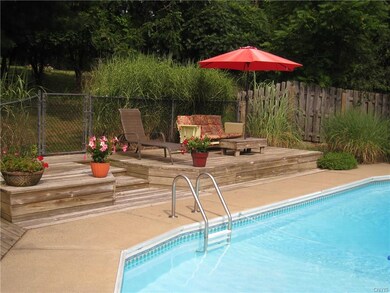 The pool lounge area gets lots of sun.  New liner 