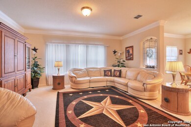 10503 Cenizo Field, Helotes, TX 78023 - photo 3