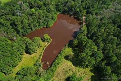 2217 Mcleod Rd, Goshen, AL 36035 - photo 6