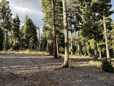 The lot has been cleared and leveled