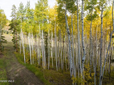 bachelor_gulch_lot_23_aerial_d