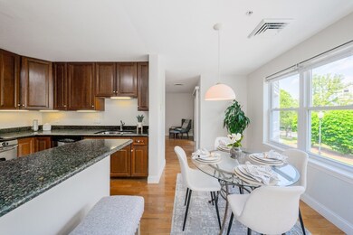 320 Rindge Ave unit 205, Cambridge, MA 02140 - photo 5