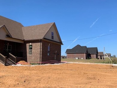 3249 Midland Rd, Bell Buckle, TN 37020 - photo 3