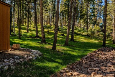 41 Taos Dr, Angel Fire, NM 87710 - photo 7