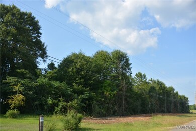 22877 Highway 84, Elba, AL 36323 - photo 6