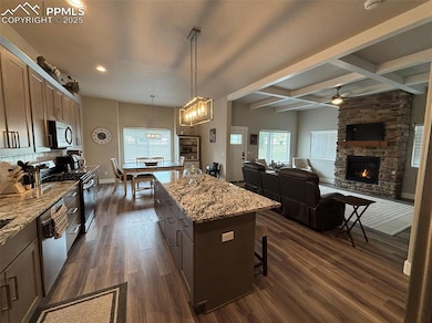 489 Due Rd S, Florissant, CO 80816 - photo 4