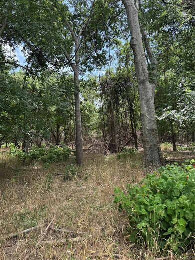 View of nature