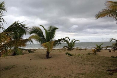 II Los Parillas unit 4701, Loiza, PR 00772 - photo 7