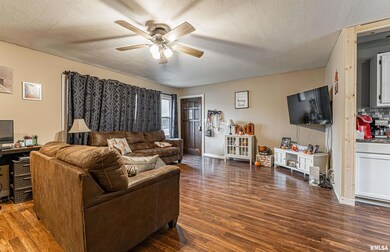 1306 Nicholson Rd, Lincoln, IL 62656 - photo 4