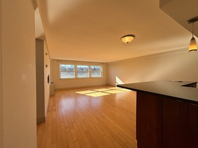 Washington on the Square unit 1102, Brookline, MA 02446 - photo 5