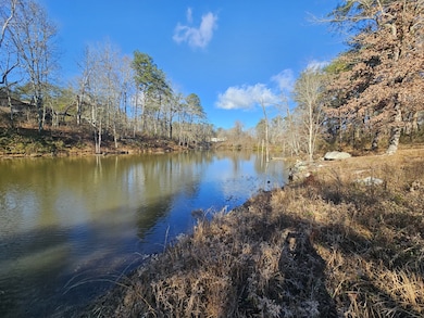 242 Ranger Creek Rd, Coalmont, TN 37313 - photo 2