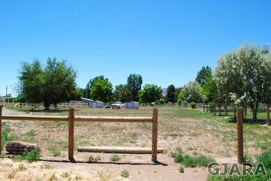 view from driveway south