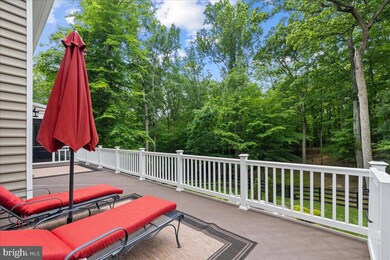 41633 Catoctin Springs Ct, Leesburg, VA 20176 - photo 7