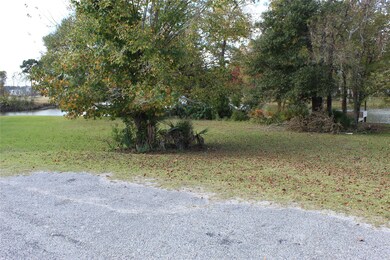 14 Wild Iris Ct, Huntsville, TX 77340 - photo 3