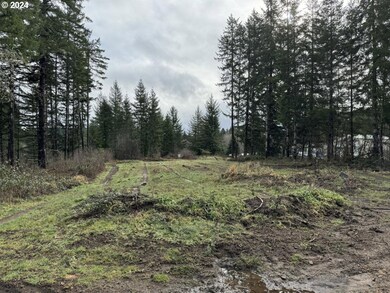 294 Bennett Ln, Blodgett, OR 97326 - photo 5