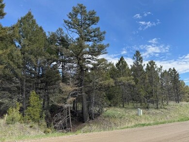 704 Flint View Rd, Deer Lodge, MT 59722 - photo 7