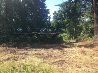 4800 Lake Bosworth Ln, Snohomish, WA 98290 - photo 4