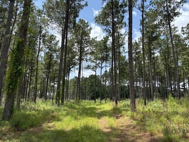 182 Hwy 44, Tylertown, MS 39641 - photo 2