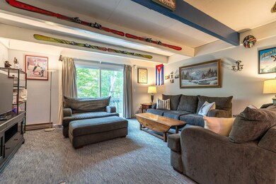 13 Stratton Rd W unit 13, Winhall, VT 05340 - photo 6