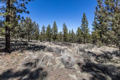 Lot 51 North Rim