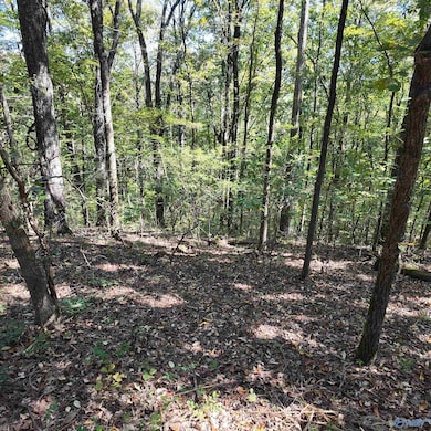 4316 Danville Rd SW, Decatur, AL 35603 - photo 6