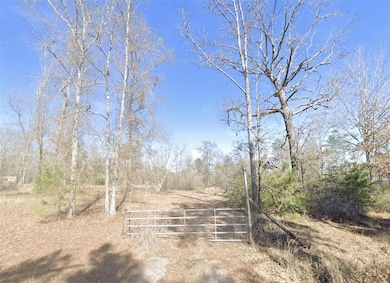 0 Pevoto Rd, Starks, LA 70661 - photo 4