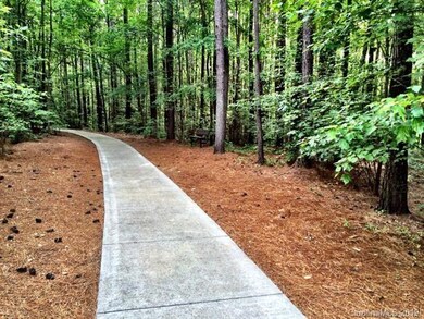 4303 Crepe Ridge Dr unit 346, Denver, NC 28037 - photo 4