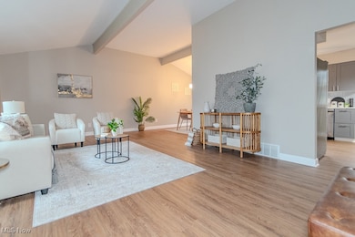 37430 Hunters Ridge Rd, Solon, OH 44139 - photo 4