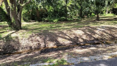 LOT B New York Dr, Tampa, FL 33619 - photo 4