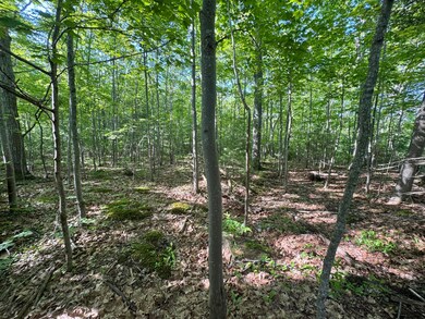 63 Pond St, Bucksport, ME 04416 - photo 4