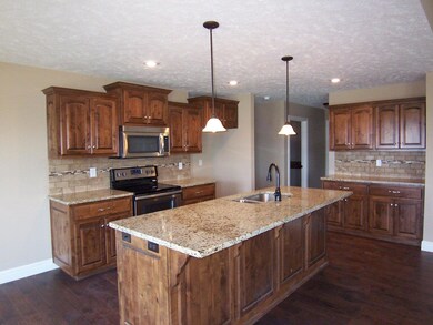 1668 E Chickamauga Dr, Republic, MO 65738 - photo 4