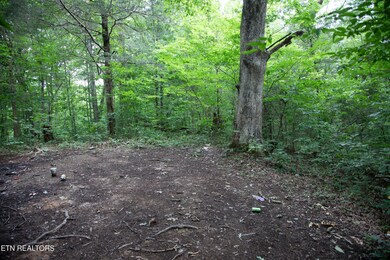 DB_0008 (1)