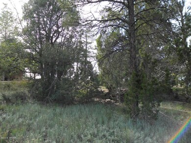 SAM_0465