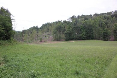4515 Cannonball Rd, Somerset, KY 42501 - photo 2