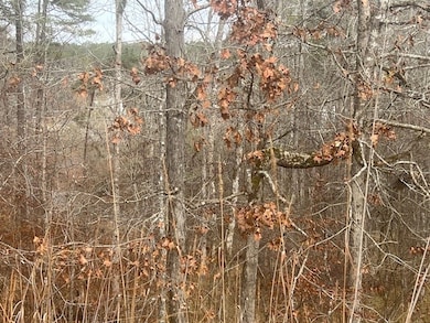 0000 Sunshine Dr, Sparta, GA 31087 - photo 5