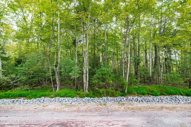 812 Beaver Run, Pocono Lake, PA 18347 - photo 4