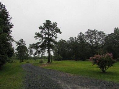 1201 Josey Rd, Forsyth, GA 31029 - photo 2