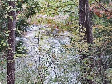 1895 Rifle River Dr, West Branch, MI 48661 - photo 4