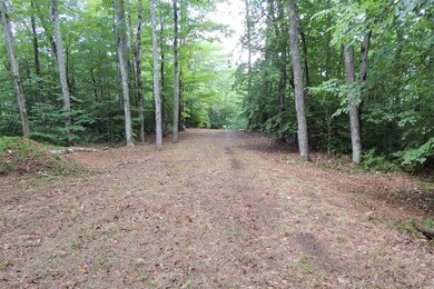 39 Ridge Ln, Whitingham, VT 05361 - photo 6