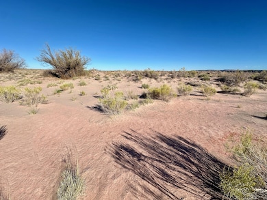 Tbd Unnamed Dirt Rd, Sun Valley, AZ 86025 - photo 4