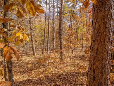 0 Galway Dr unit 7686051, Kingston, GA 30145 - photo 4