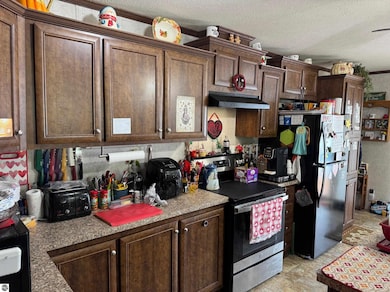 5232 E Broadway Rd, Mount Pleasant, MI 48858 - photo 3