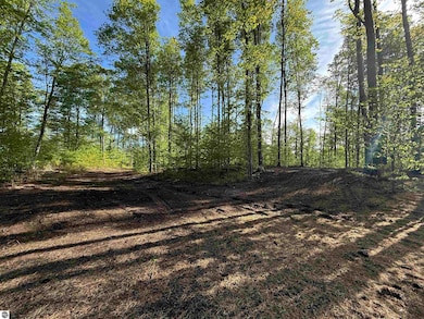 1371 E Solaris Way, Maple City, MI 49664 - photo 6