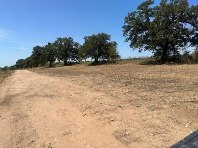 1901 Poe Prairie Rd, Millsap, TX 76066 - photo 3