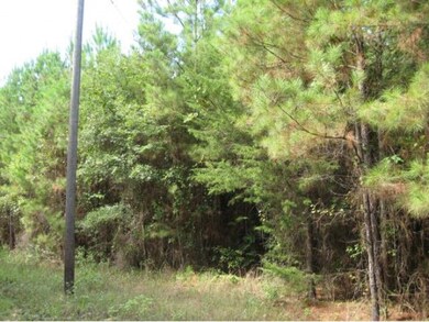 10.2 ac. Hidden Leaf Trail, Nacogdoches, TX 75964 - photo 4