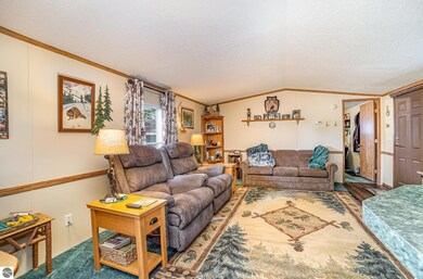 10269 30th Ave, Evart, MI 49631 - photo 4