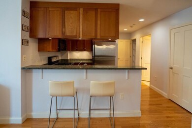 2-14 Saint Paul St unit 307, Brookline, MA 02446 - photo 7