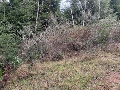 0 Wildberry Rd, Coosbay, OR 97420 - photo 3