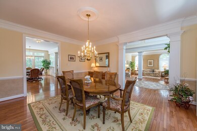 5170 Britten Ln, Ellicott City, MD 21043 - photo 4