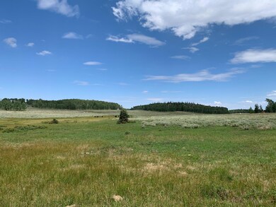 Lot 4 Blk L Green Meadow Acres U-2, Brian Head, UT 84719 - photo 7